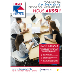 FLYER A4 PASS IMMO 3