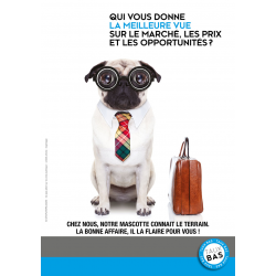 Flyer chien lunettes - 2 biens