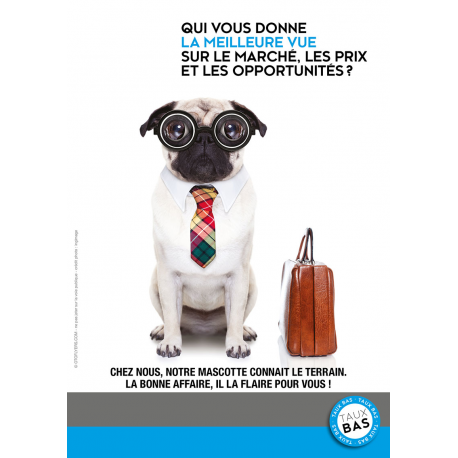 Flyer chien lunettes - 2 biens